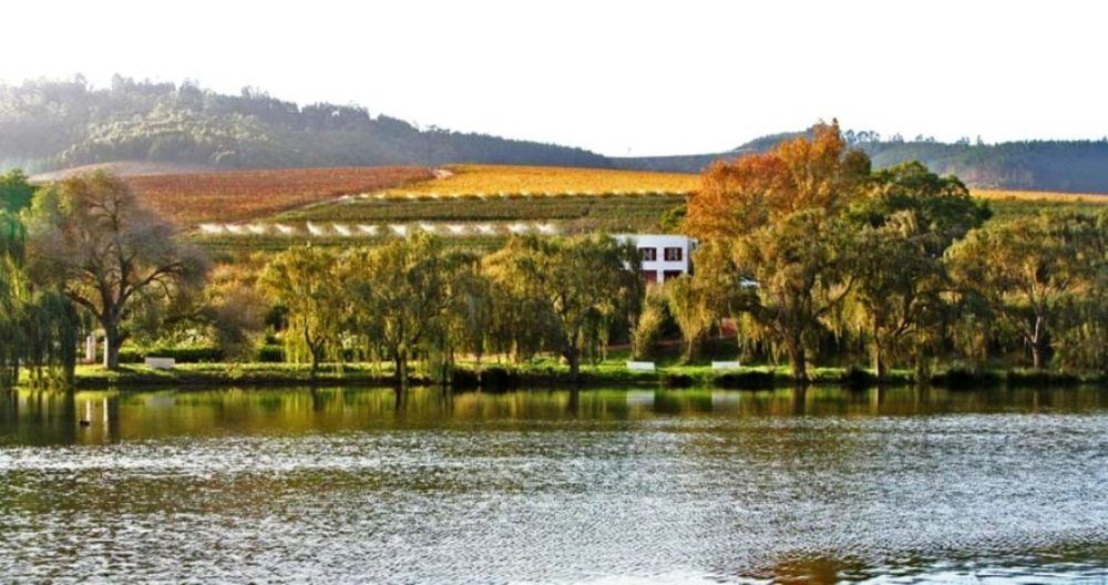 Aan-Den-Weg Villa สเตลเลนบอช ภายนอก รูปภาพ