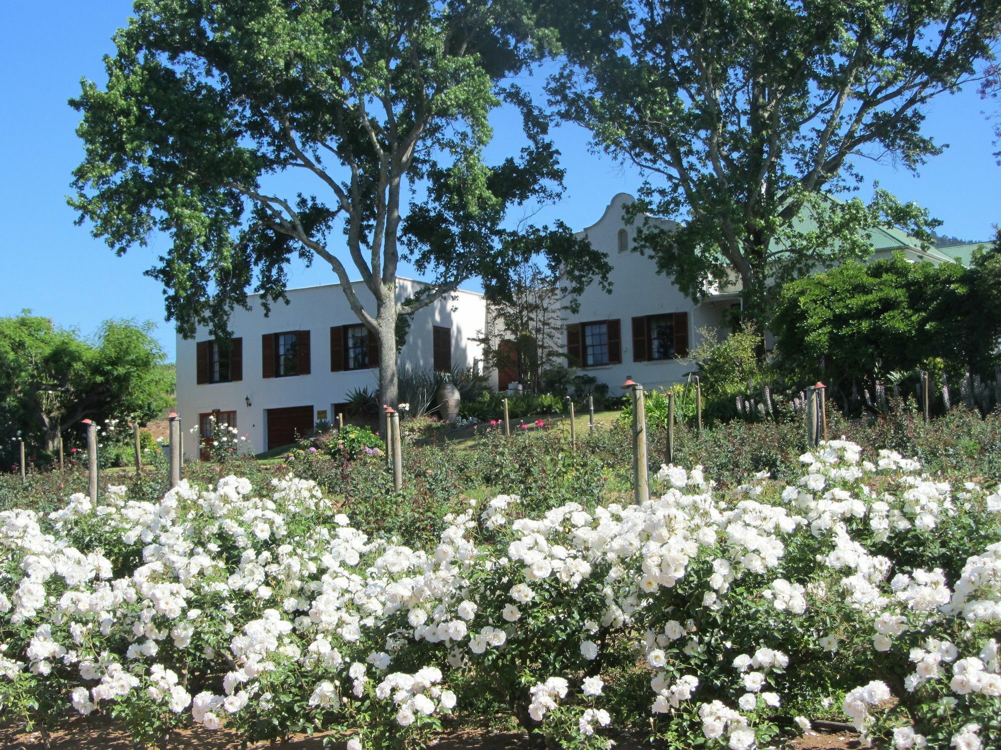 Aan-Den-Weg Villa สเตลเลนบอช ภายนอก รูปภาพ